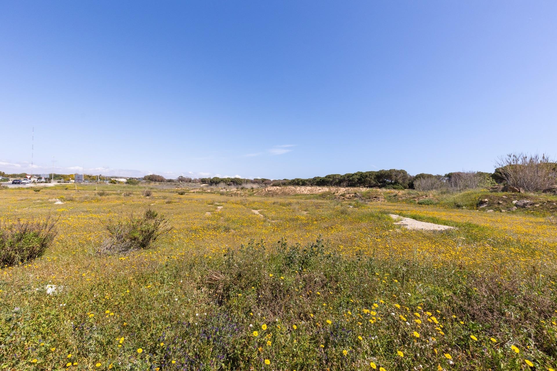 Venta - Apartamento piso -
Guardamar del Segura - Urbanizaciones