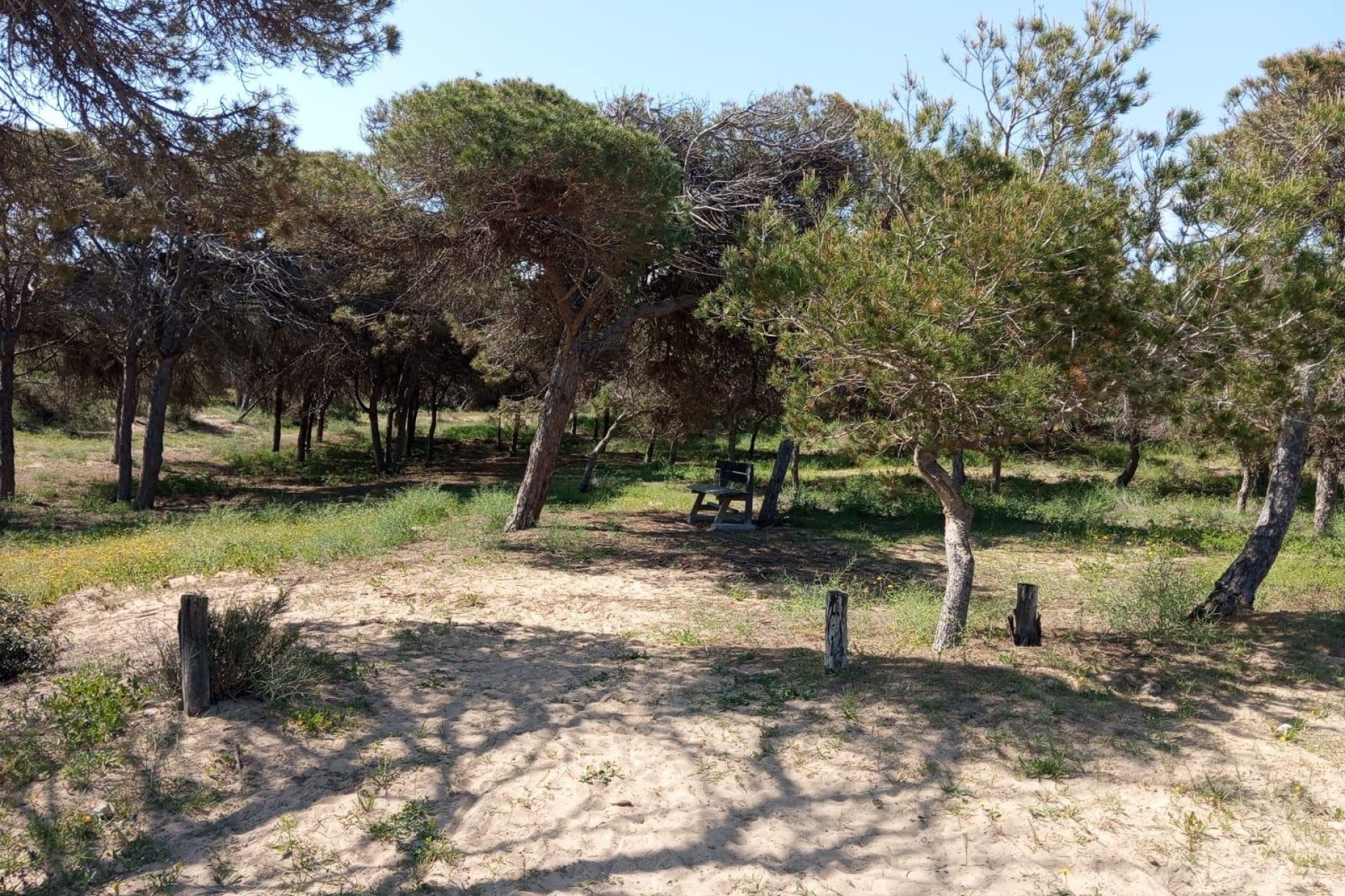 Venta - Apartamento piso -
Guardamar del Segura - Urbanizaciones