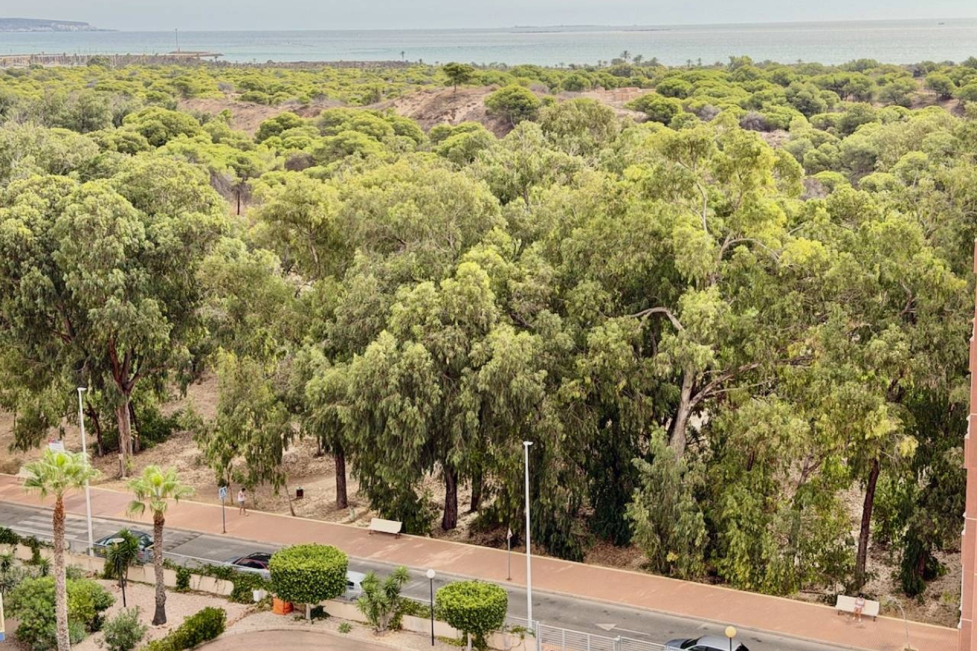 Venta - Apartamento / Piso -
Guardamar del Segura