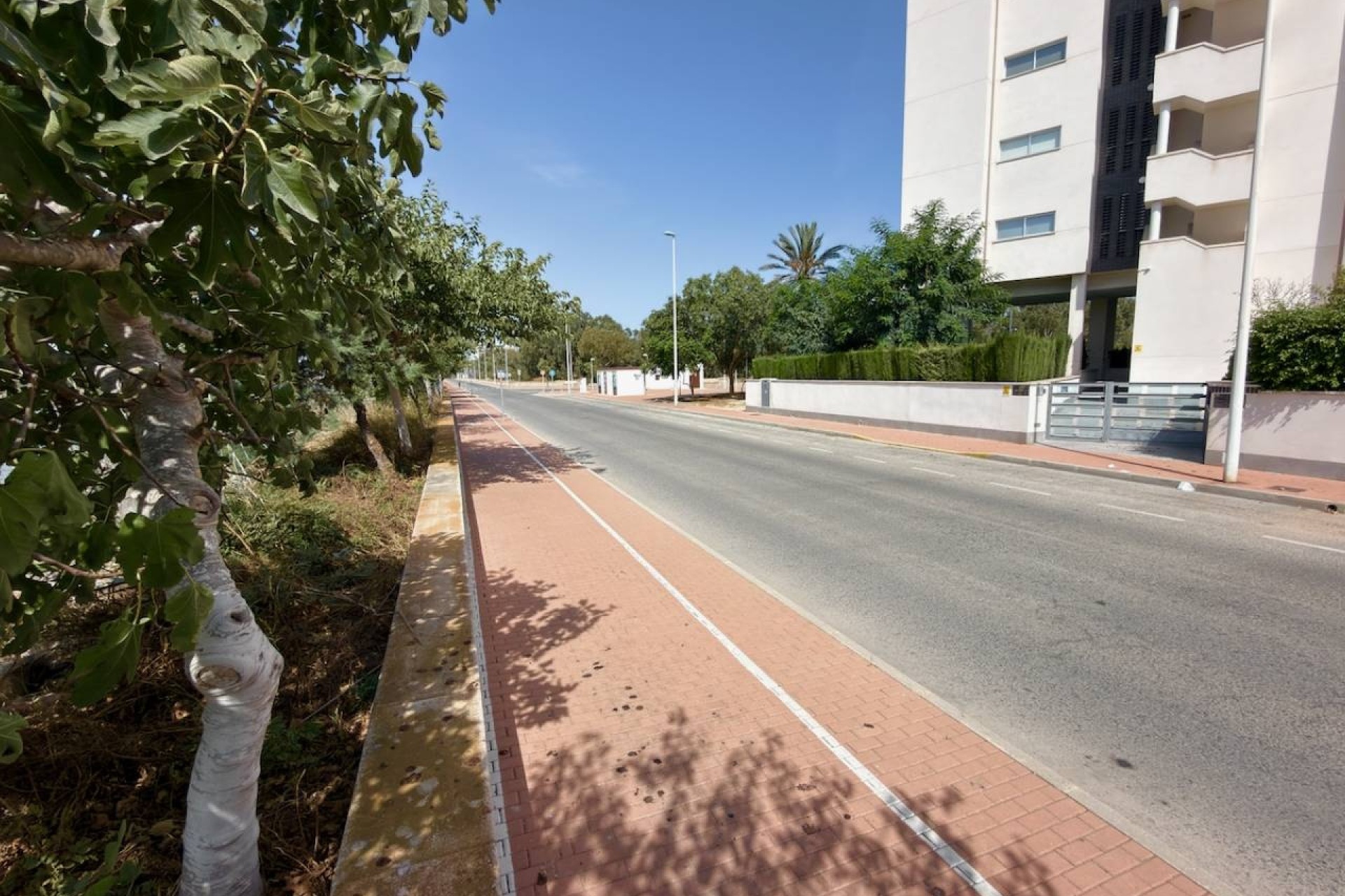 Venta - Apartamento / Piso -
Guardamar del Segura