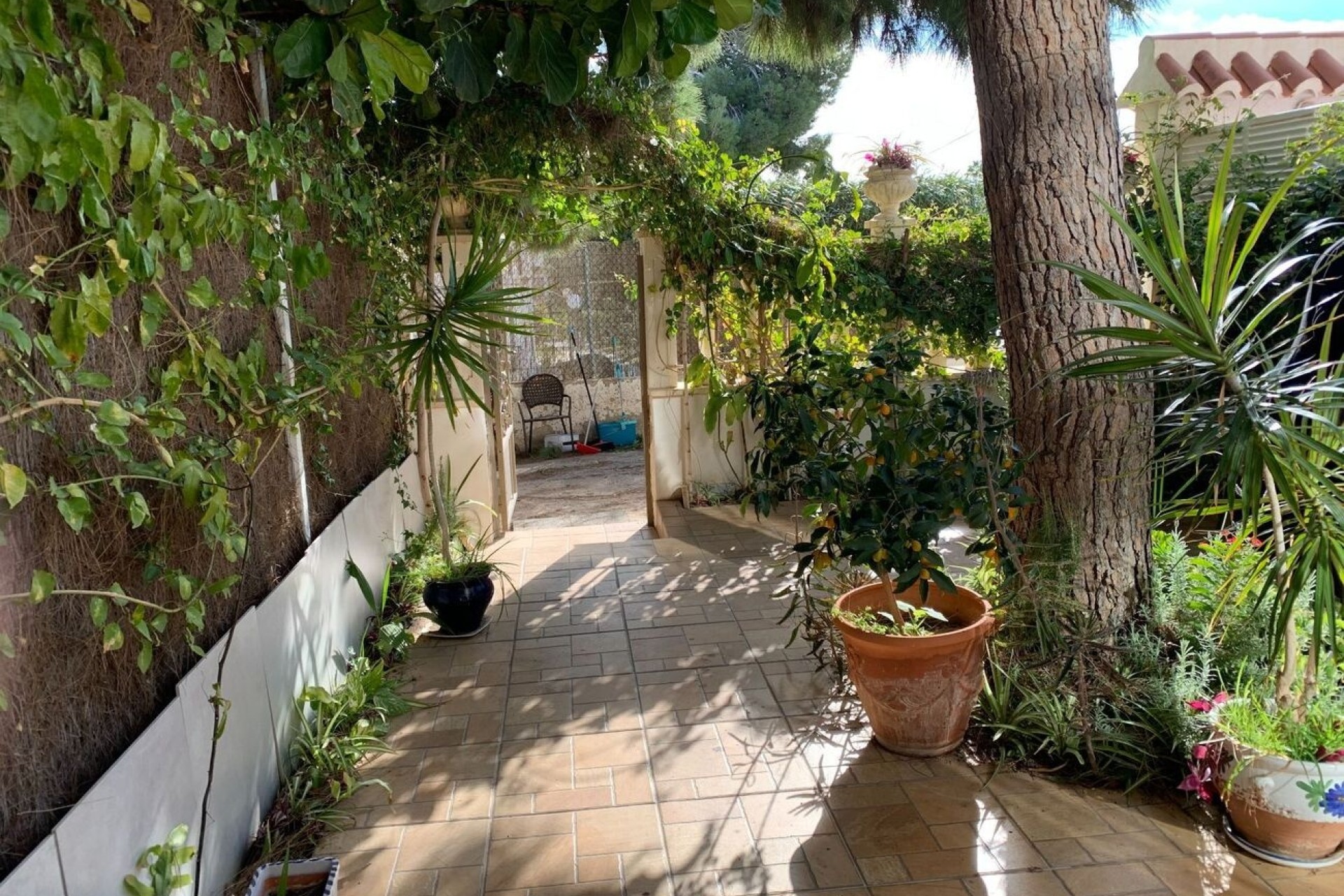 Venta - Apartamento / Piso -
La Zenia - Costa Blanca