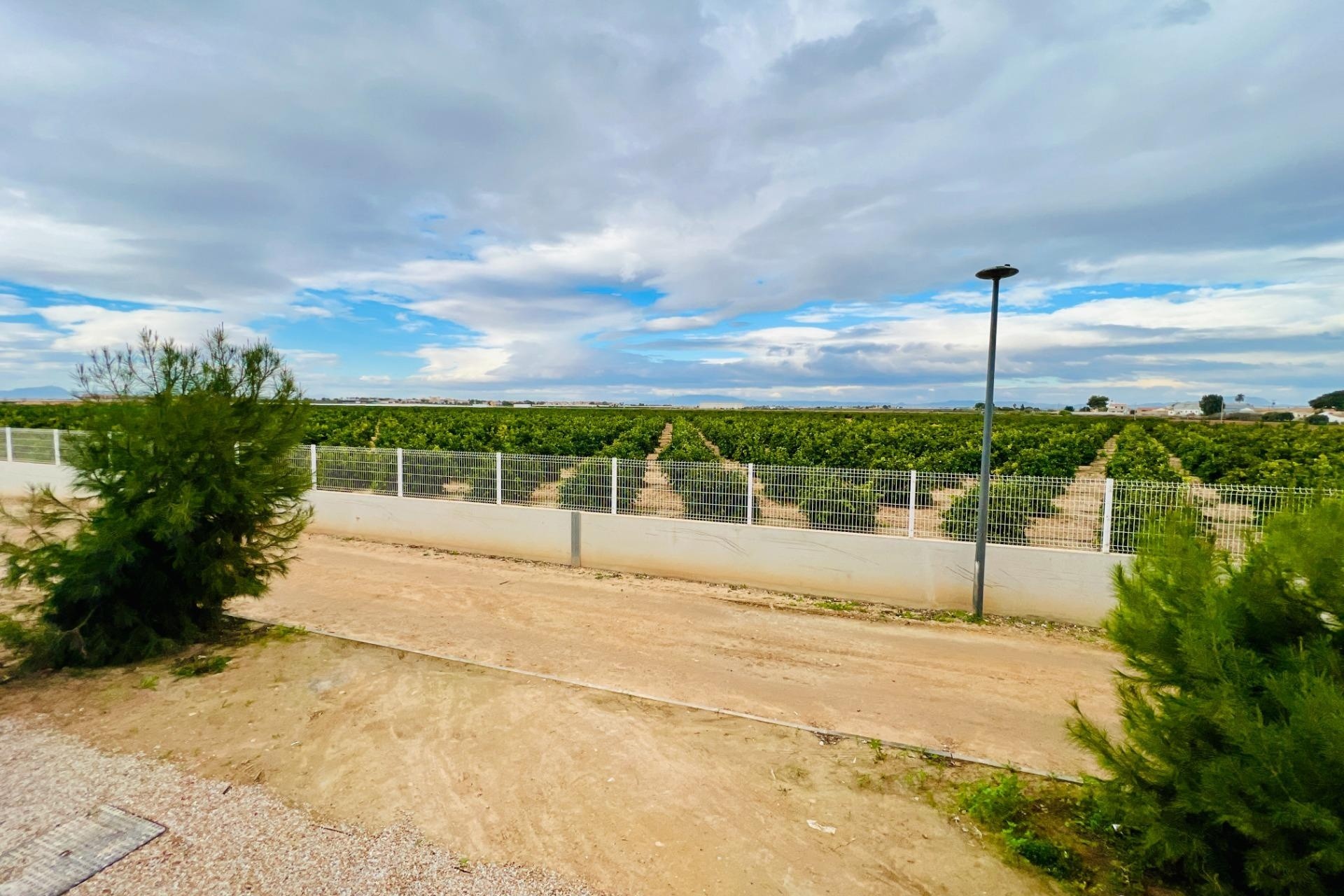 Venta - Apartamento / Piso -
Los Alcazares - Santa Rosalía