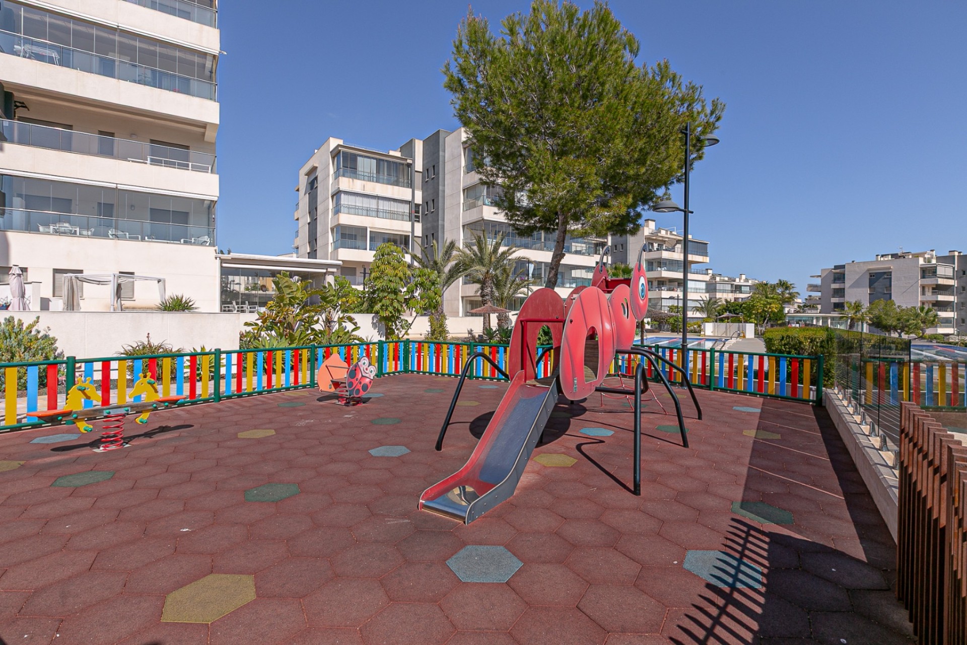 Venta - Apartamento / Piso -
Los Dolses - Pimienta