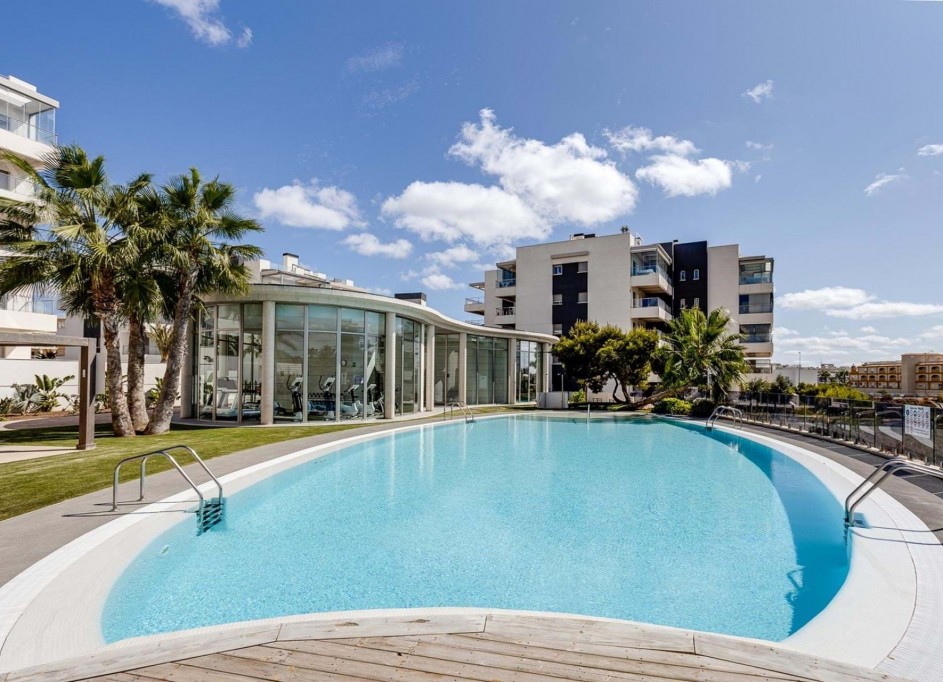 Venta - Apartamento piso -
Los Dolses