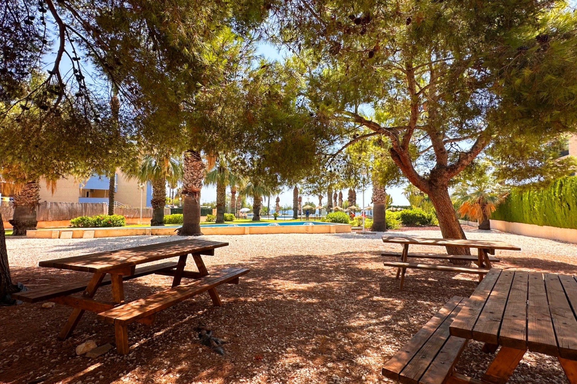 Venta - Apartamento / Piso -
Orihuela Costa - Agua Marina