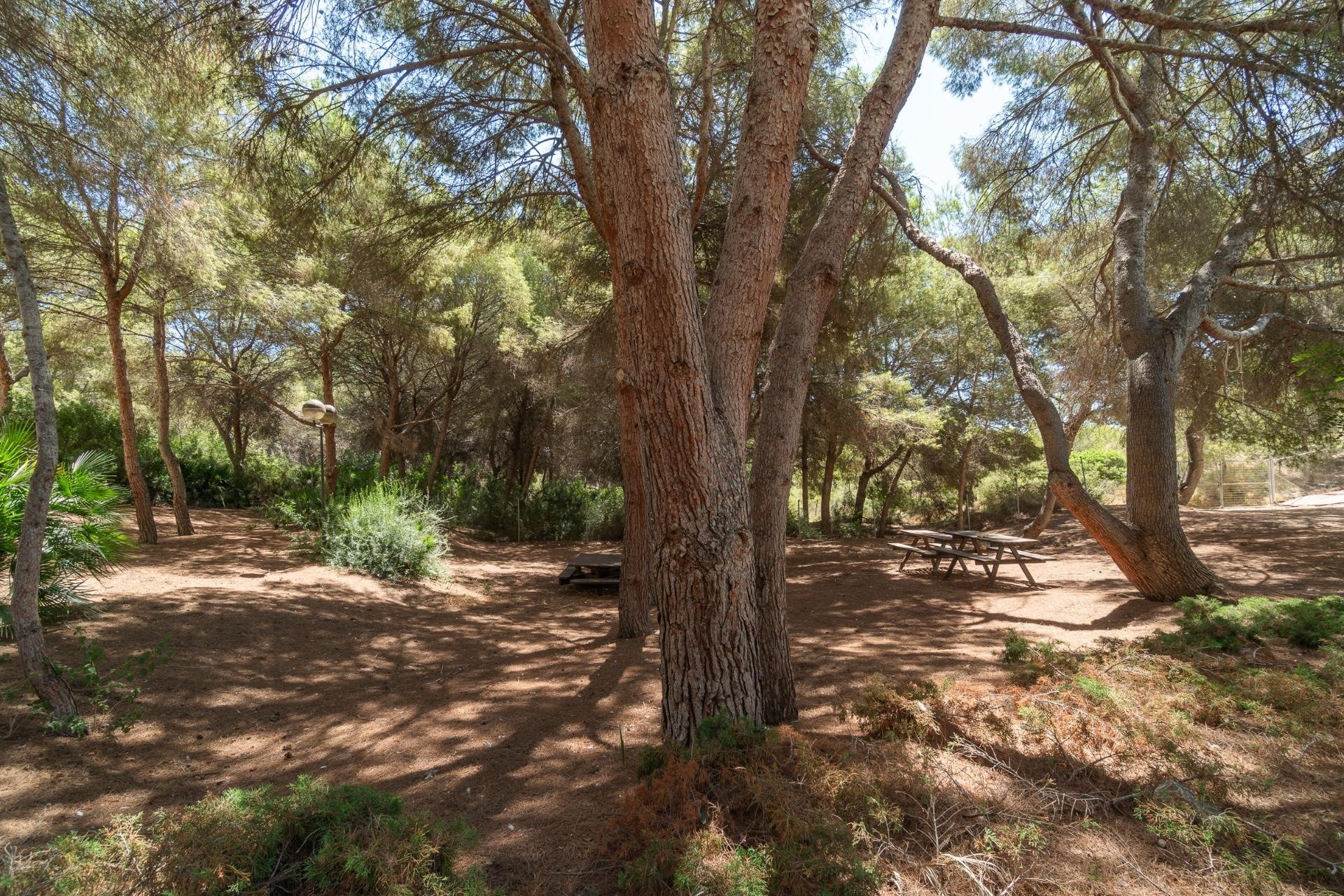 Venta - Apartamento / Piso -
Orihuela Costa - Altos de Campoamor