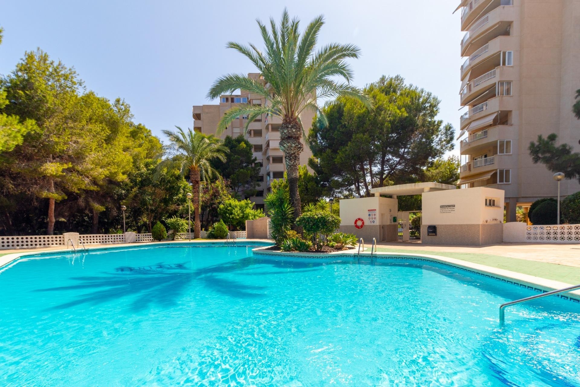 Venta - Apartamento / Piso -
Orihuela Costa - Campoamor