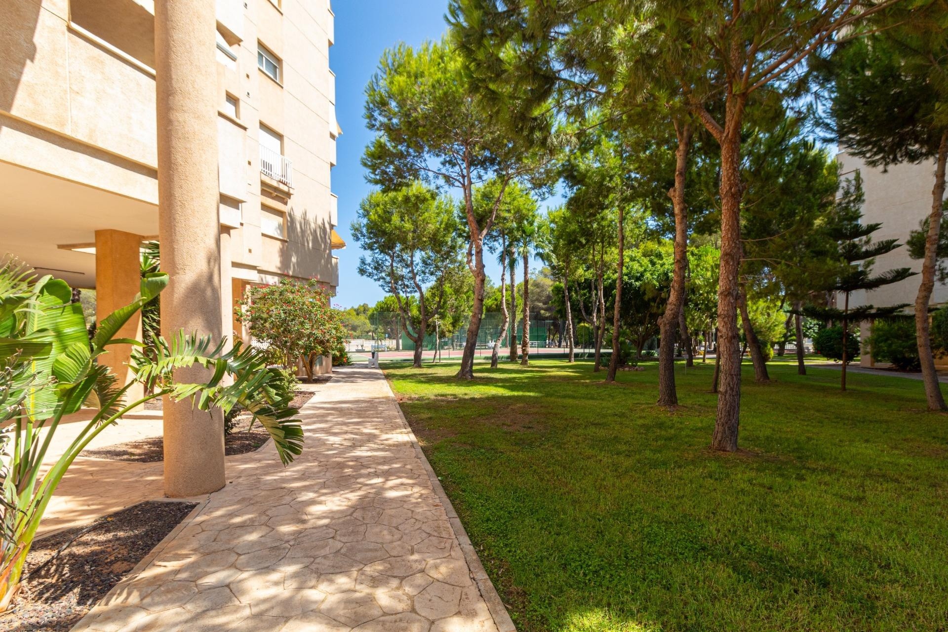 Venta - Apartamento / Piso -
Orihuela Costa - Campoamor
