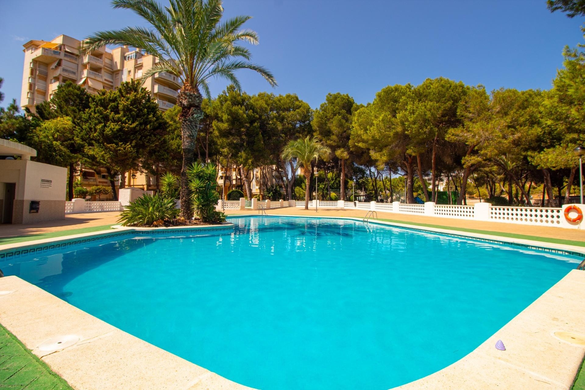 Venta - Apartamento / Piso -
Orihuela Costa - Campoamor
