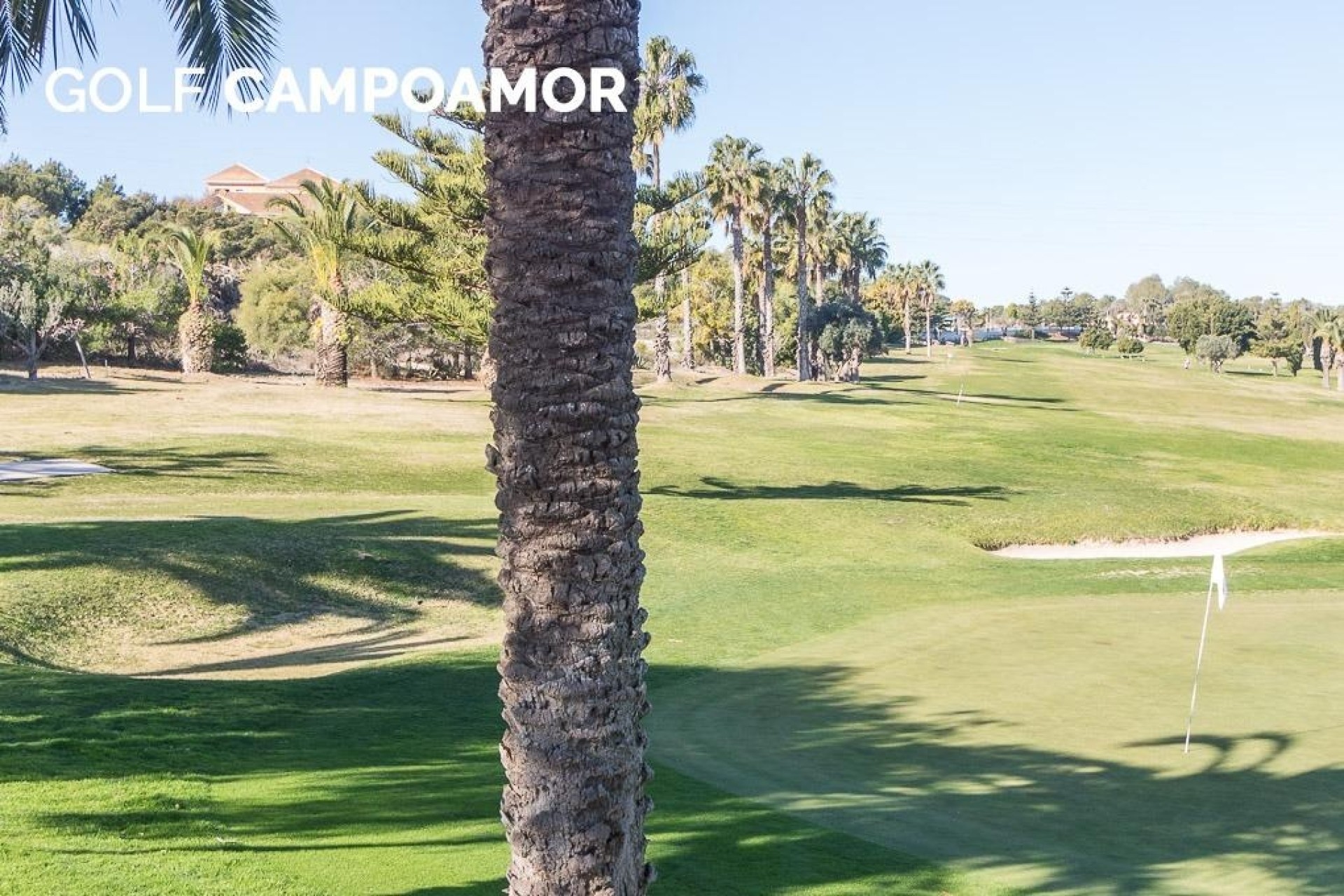 Venta - Apartamento / Piso -
Orihuela Costa - Campoamor