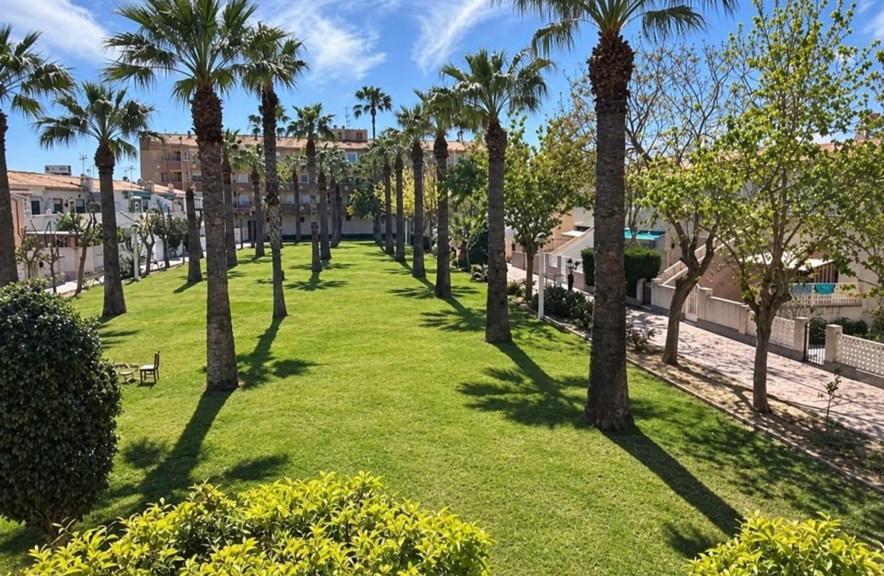 Venta - Apartamento / Piso -
Orihuela Costa - La Regia