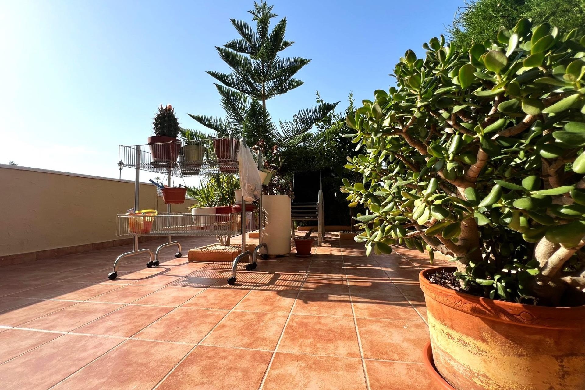 Venta - Apartamento / Piso -
Orihuela Costa - Lomas De Cabo Roig-los Dolses