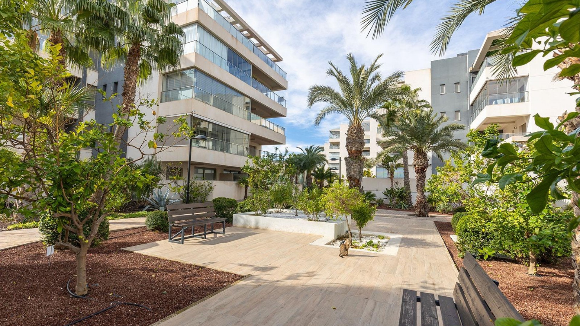 Venta - Apartamento piso -
Orihuela Costa - Los Dolses