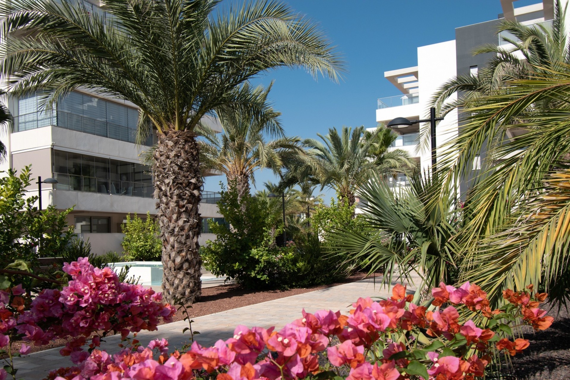 Venta - Apartamento / Piso -
Orihuela Costa - Los Dolses