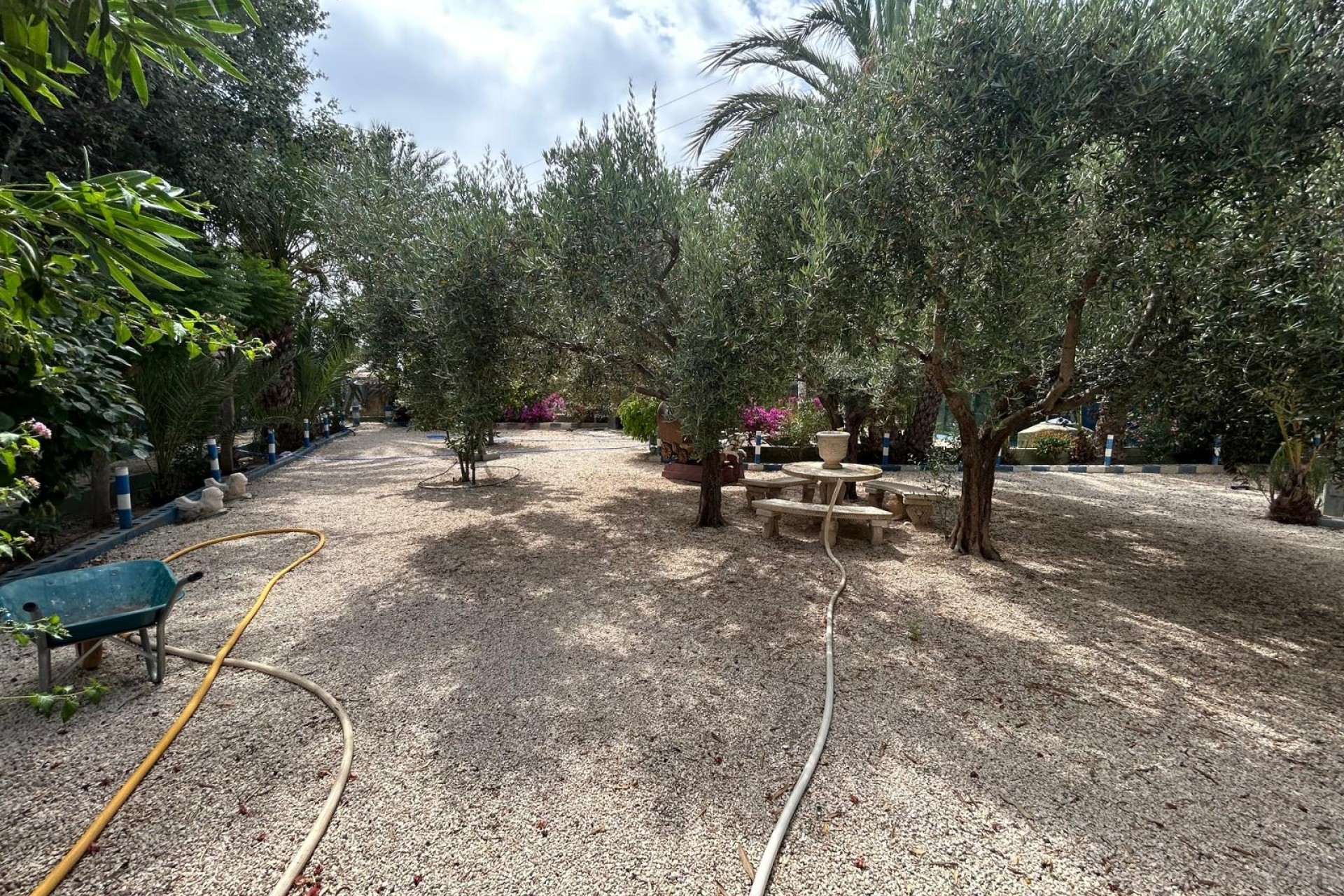 Venta - Apartamento / Piso -
Orihuela Costa - Villamartín