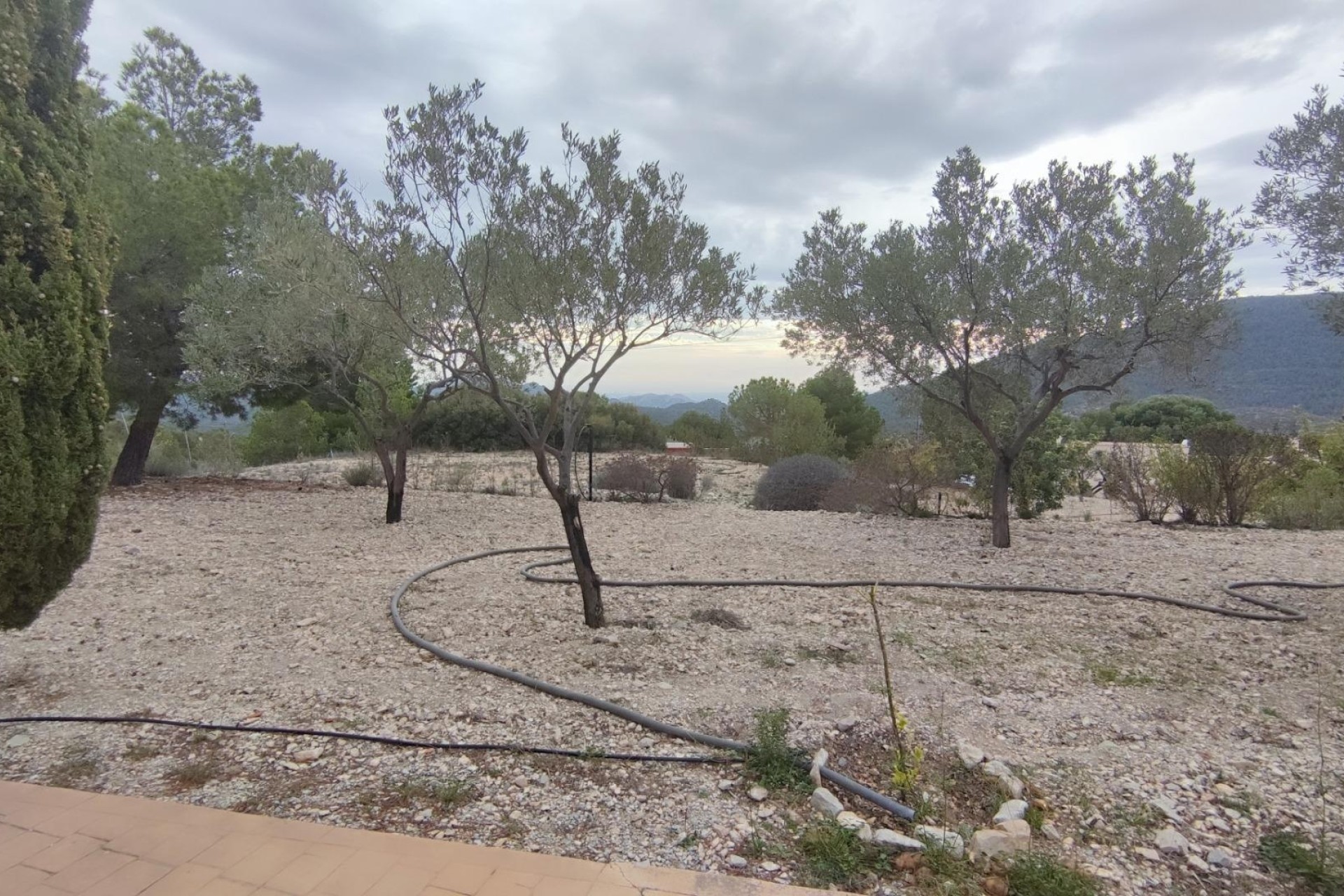 Venta - Apartamento / Piso -
Orihuela Costa - Villamartín