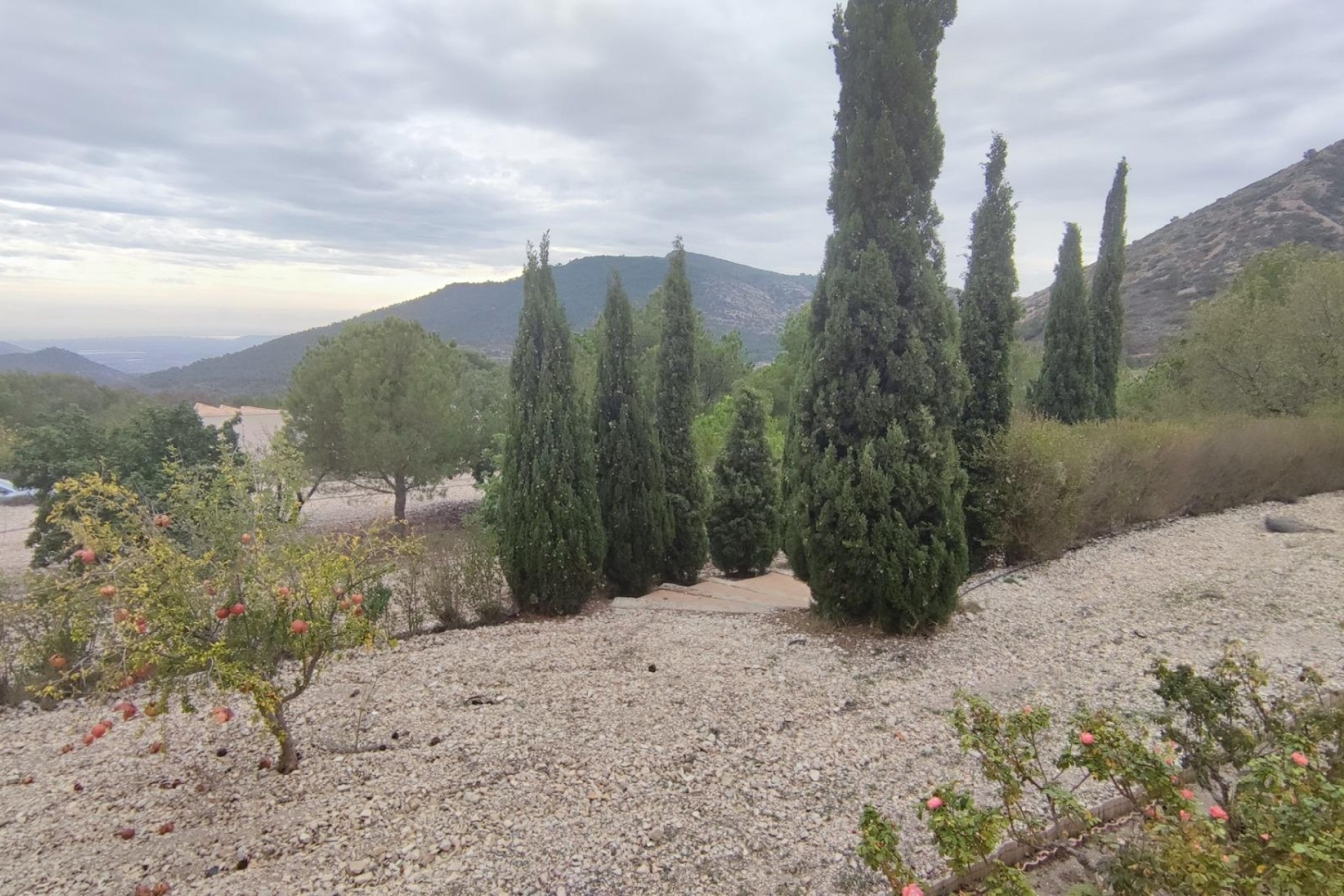 Venta - Apartamento / Piso -
Orihuela Costa - Villamartín