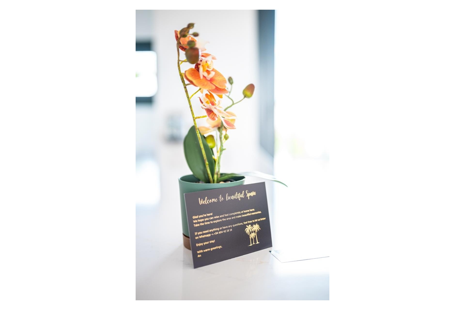 Venta - Apartamento / Piso -
Pilar de la Horadada