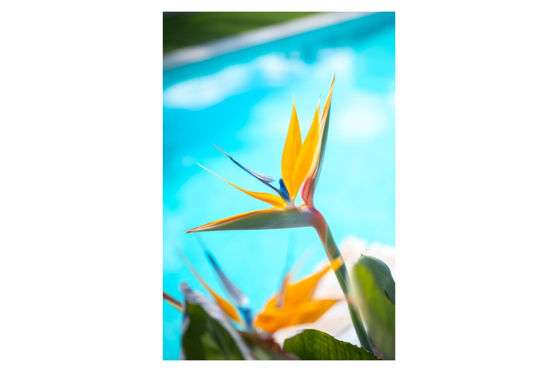 Venta - Apartamento / Piso -
Pilar de la Horadada