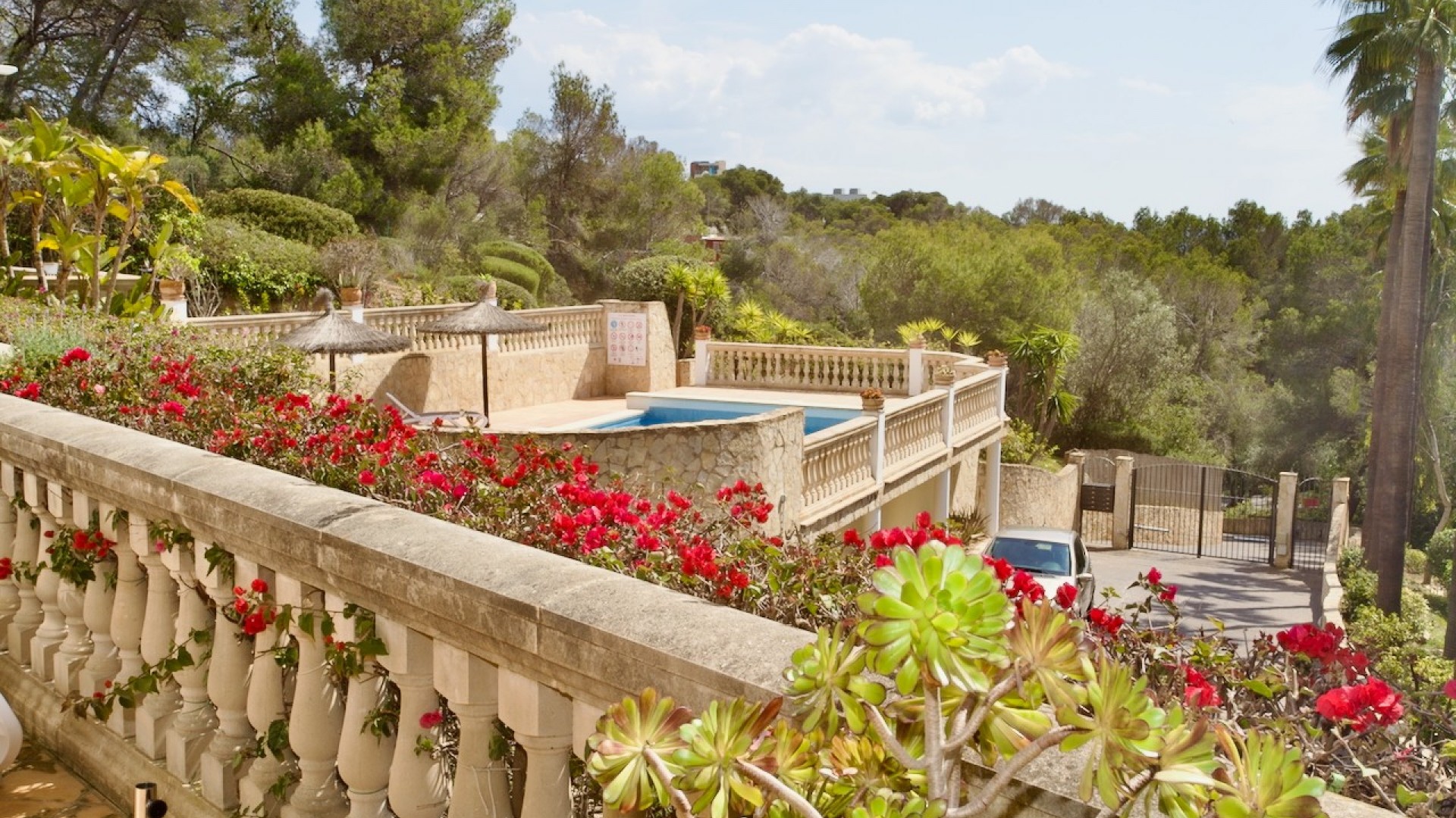 Venta - Apartamento piso -
Portals Nous - Calvià