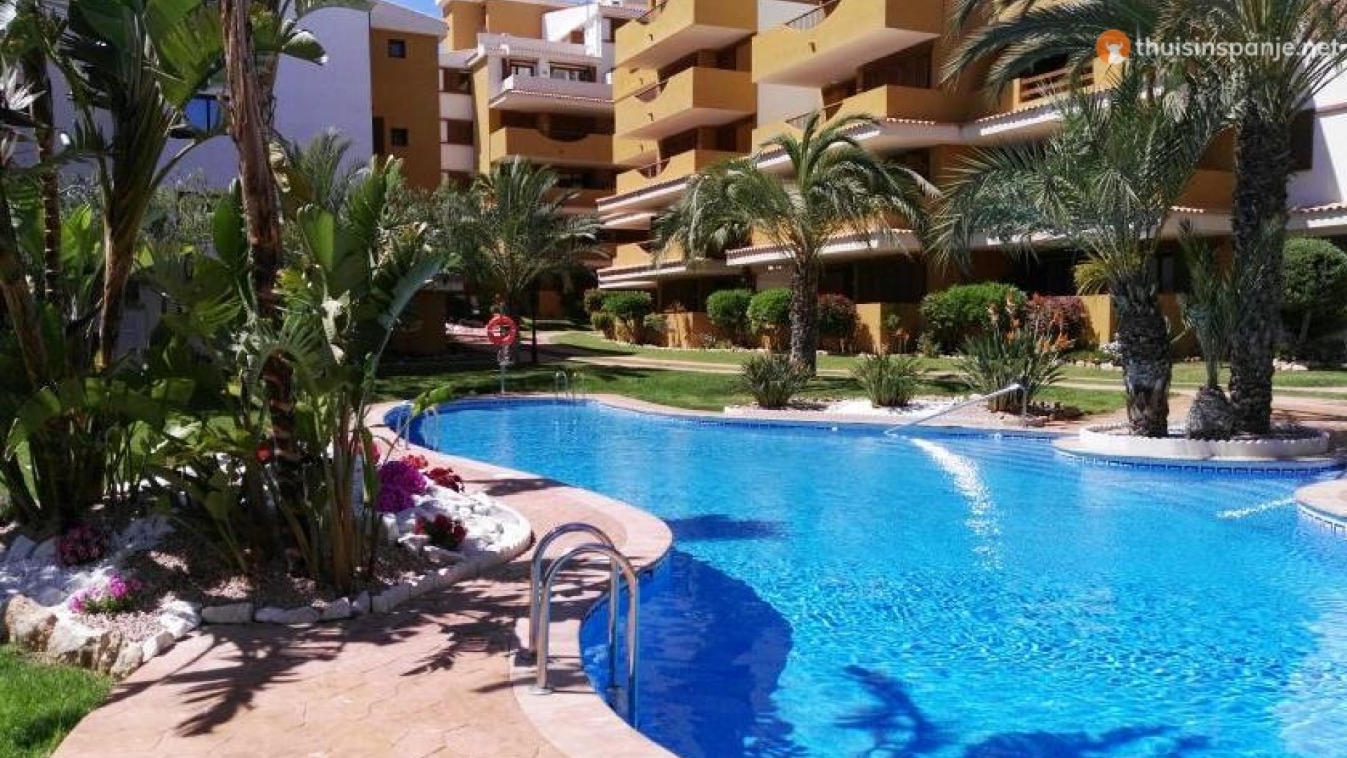 Venta - Apartamento piso -
Punta Prima - La Entrada