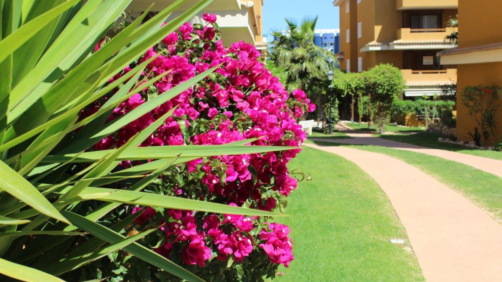 Venta - Apartamento piso -
Punta Prima - La Entrada