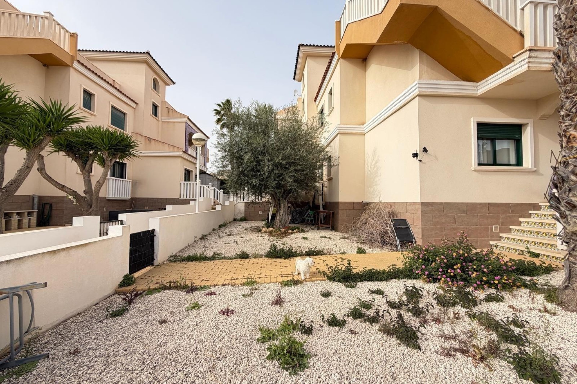 Venta - Apartamento / Piso -
Rojales - Doña Pepa