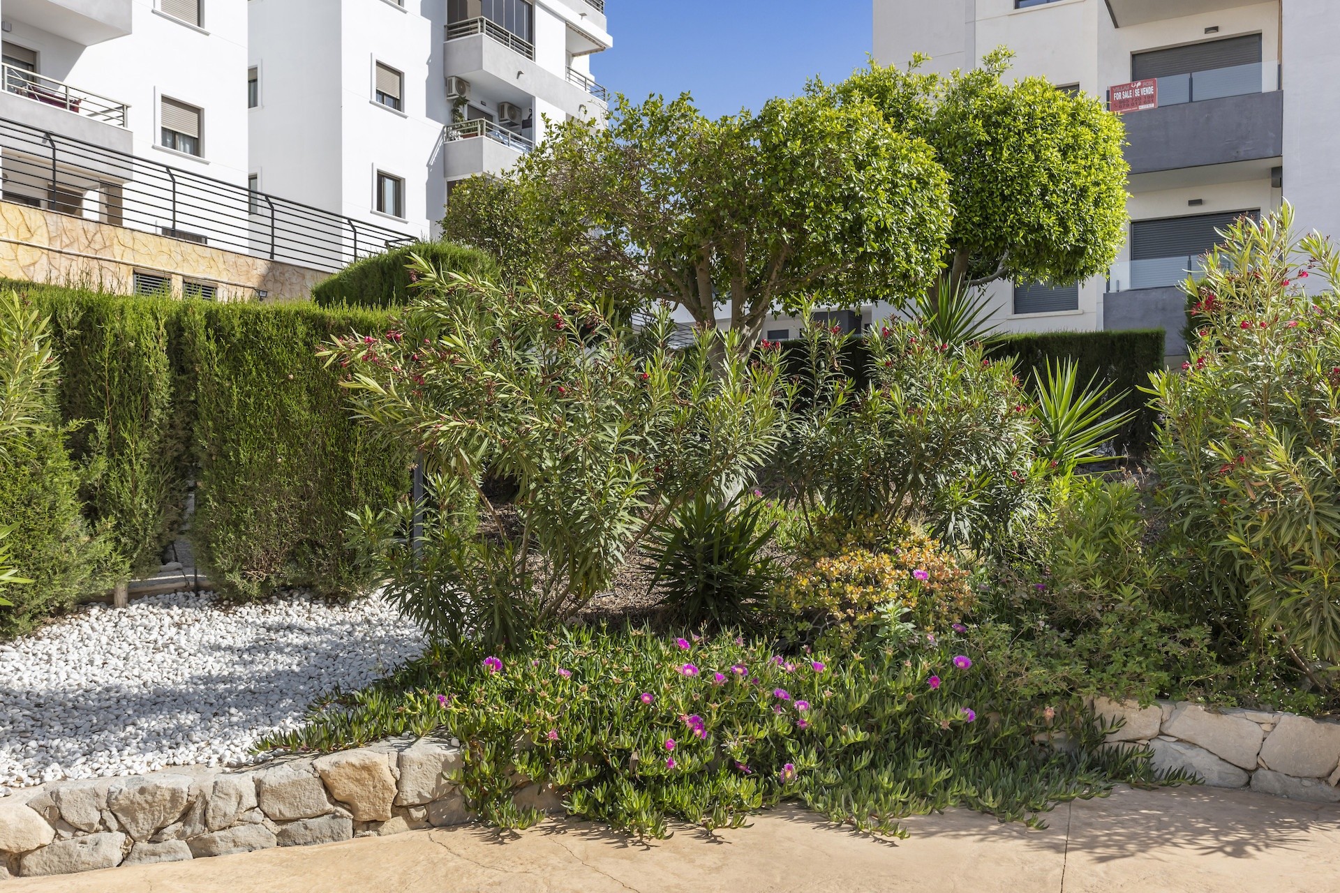Venta - Apartamento / Piso -
San Miguel de Salinas - Inland