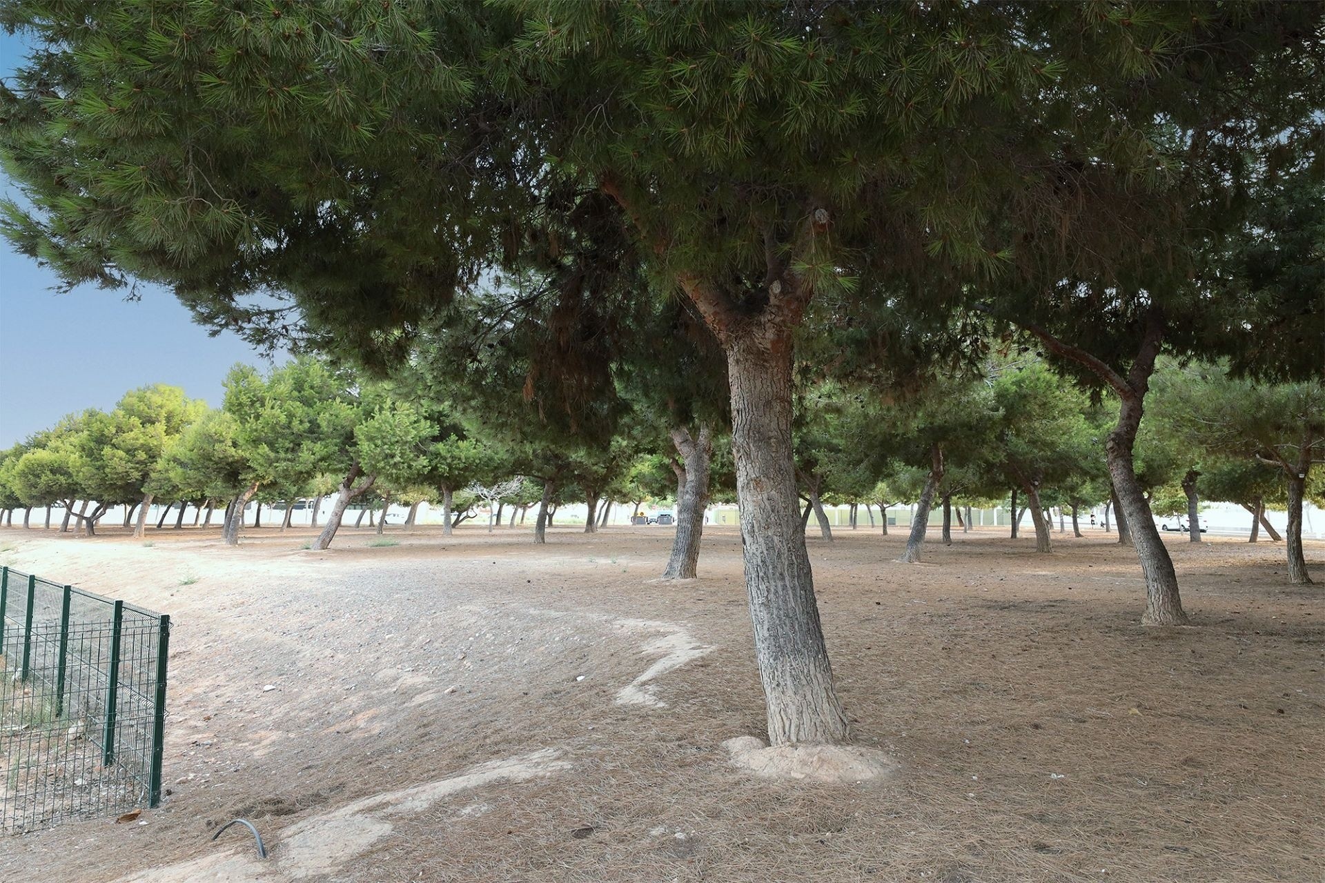 Venta - Apartamento / Piso -
San Pedro del Pinatar - San Pedro de Pinatar