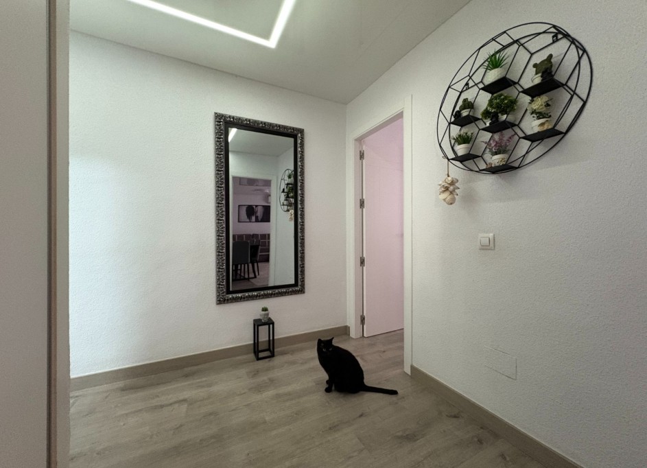 Venta - Apartamento piso -
Torrevieja - Centro