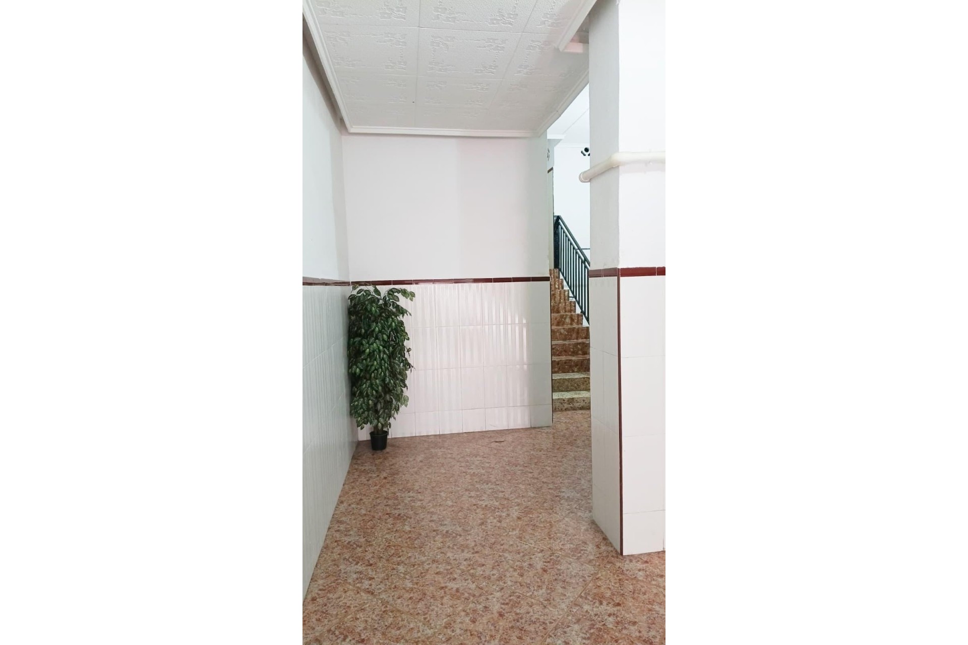 Venta - Apartamento / Piso -
Torrevieja - Centro