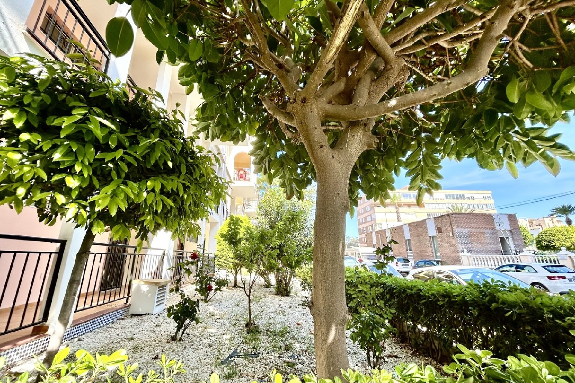 Venta - Apartamento / Piso -
Torrevieja - Costa Blanca
