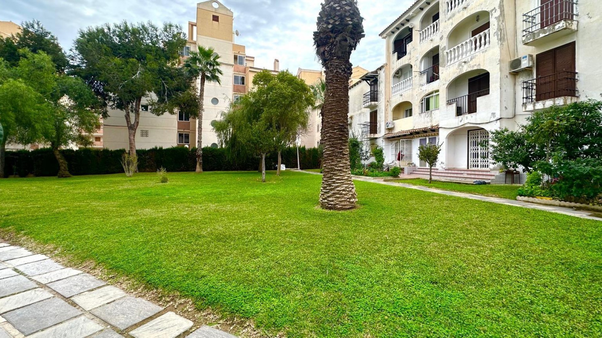 Venta - Apartamento piso -
Torrevieja - Estacion de autobuses