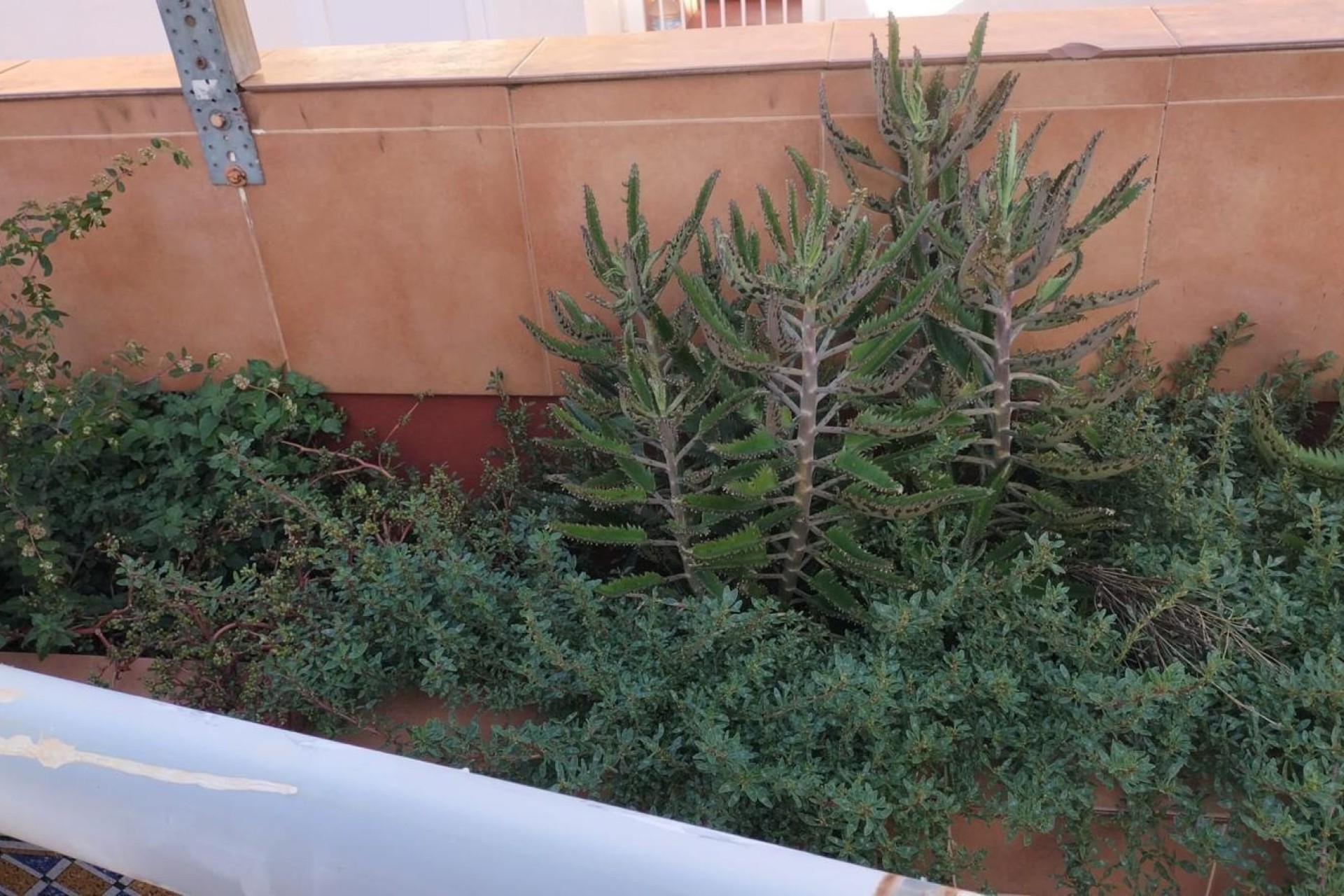 Venta - Apartamento / Piso -
Torrevieja - La Mata