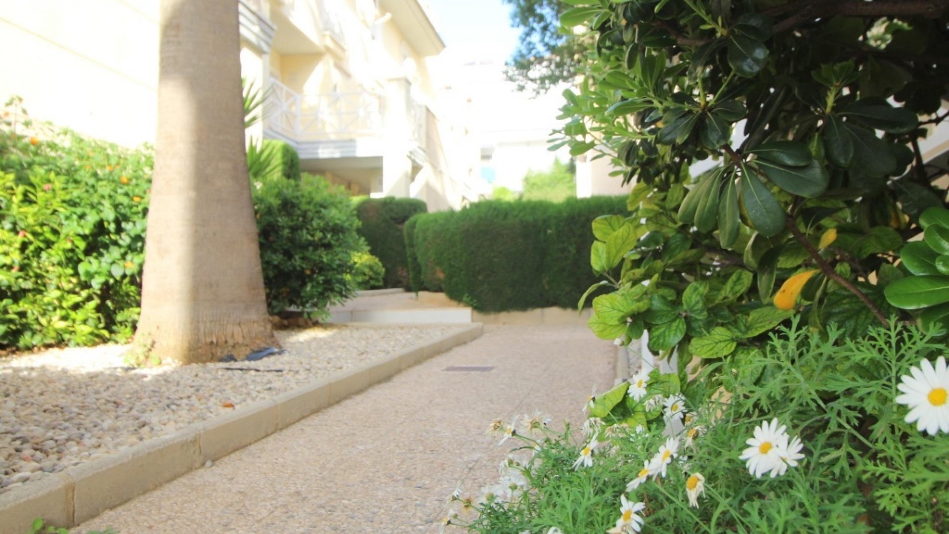 Venta - Apartamento piso -
Torrevieja - La veleta