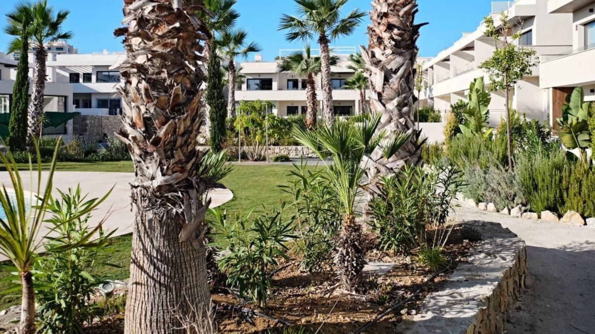 Venta - Apartamento piso -
Torrevieja - La veleta