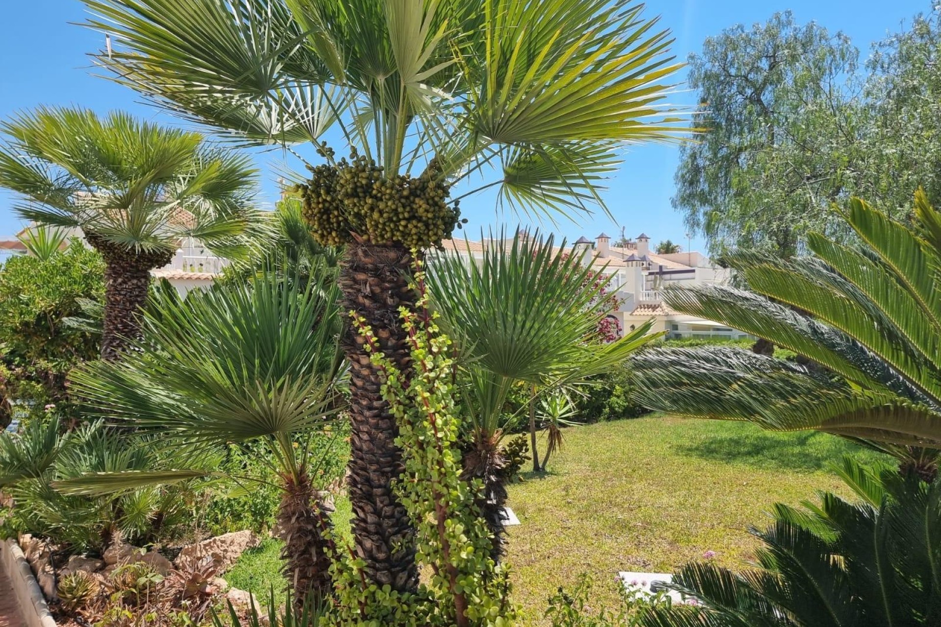 Venta - Apartamento / Piso -
Torrevieja - Los Balcones