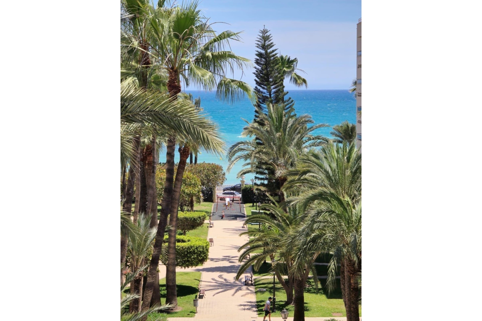 Venta - Apartamento / Piso -
Torrevieja - Los Frutales