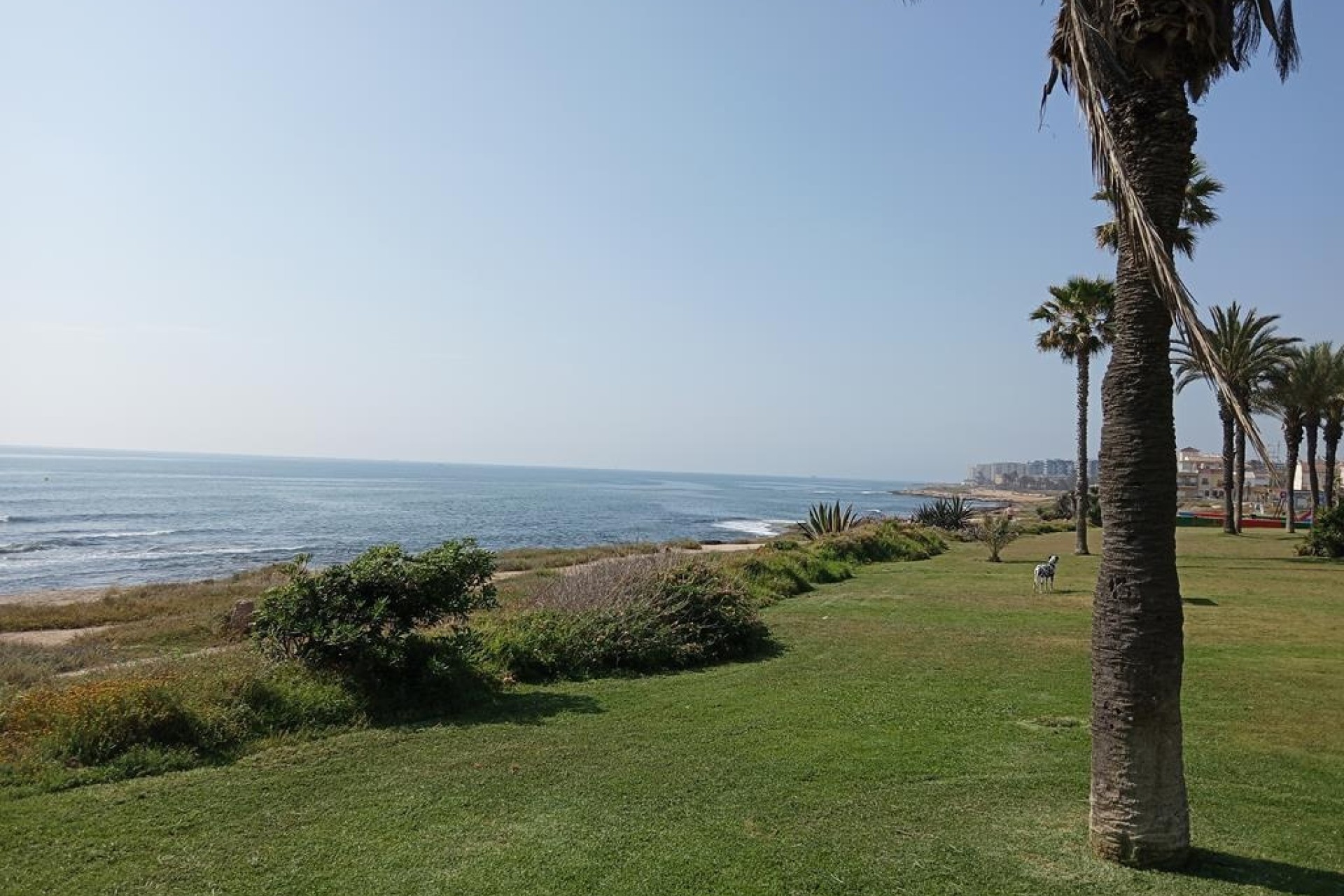 Venta - Apartamento / Piso -
Torrevieja - MAR AZUL LA VELETA