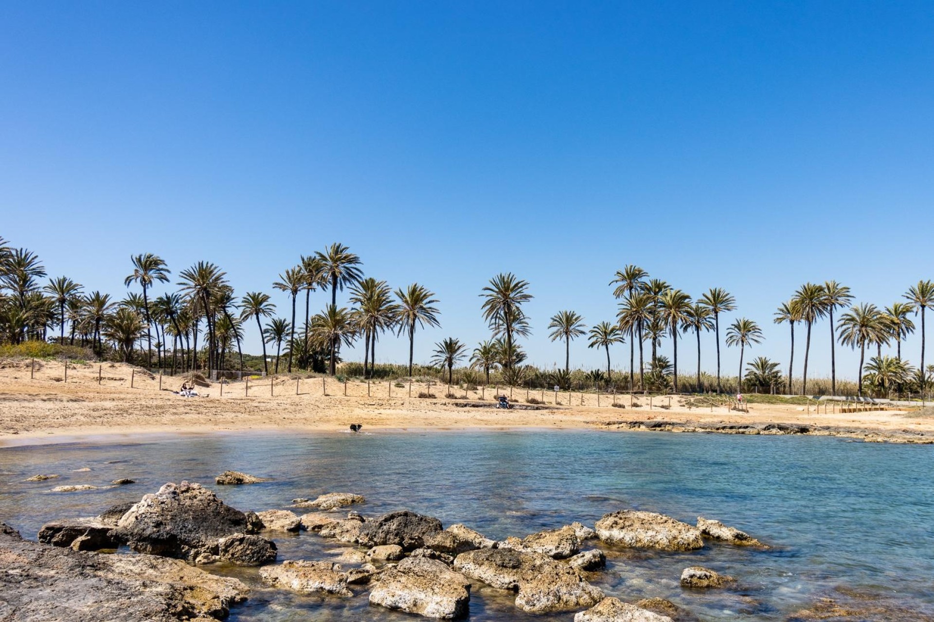 Venta - Apartamento / Piso -
Torrevieja - Playa de los Naufragos