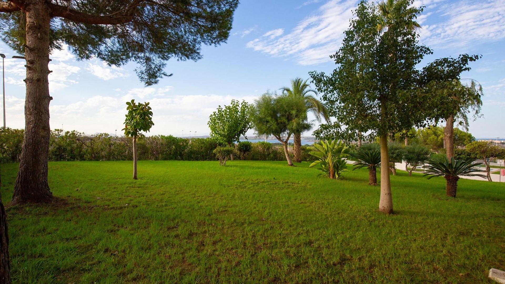 Venta - Apartamento piso -
Torrevieja - Torreblanca