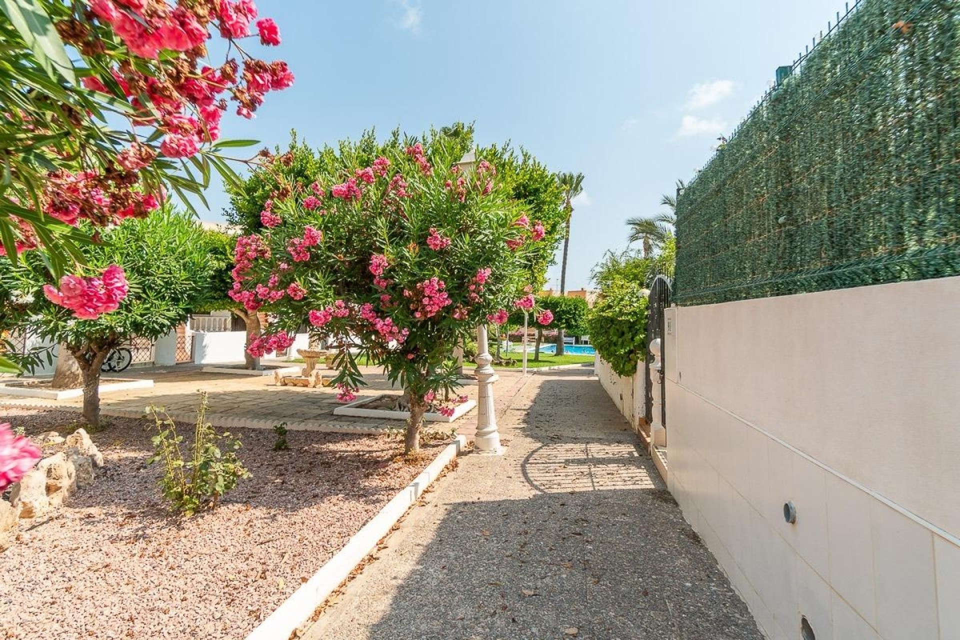 Venta - Apartamento / Piso -
Torrevieja - Torreblanca