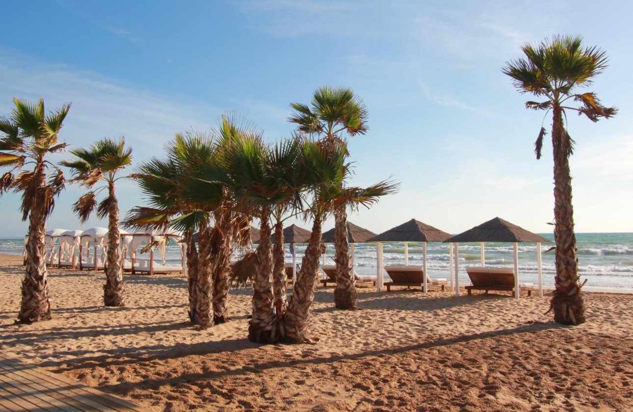 Venta - Apartamento / Piso -
Torrevieja - torrevieja