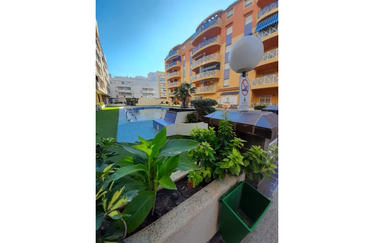 Venta - Apartamento / Piso -
Torrevieja