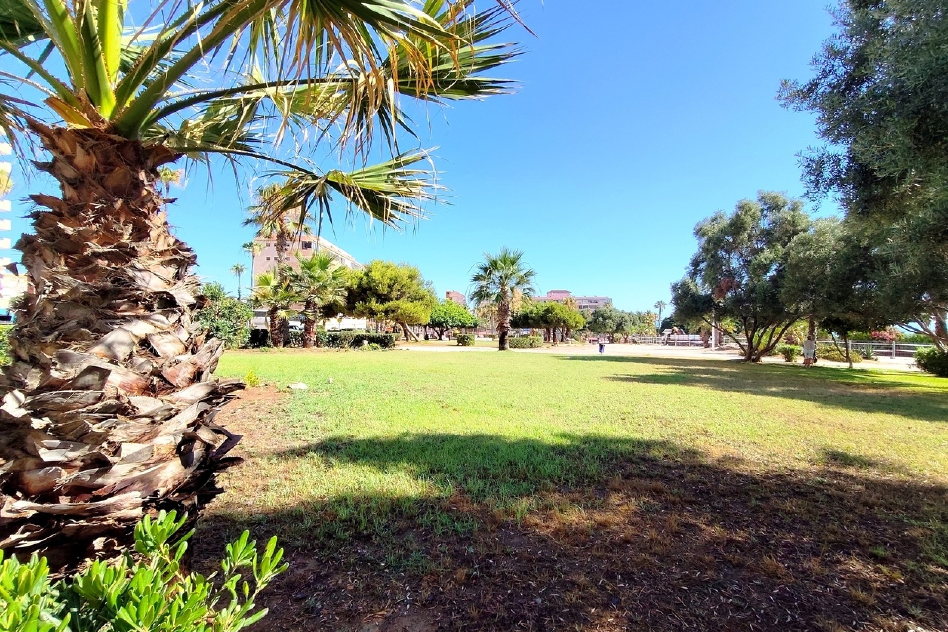 Venta - Apartamento / Piso -
Torrevieja