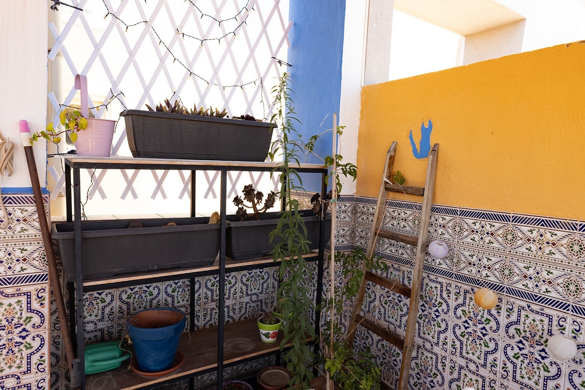 Venta - Apartamento / Piso -
Torrevieja