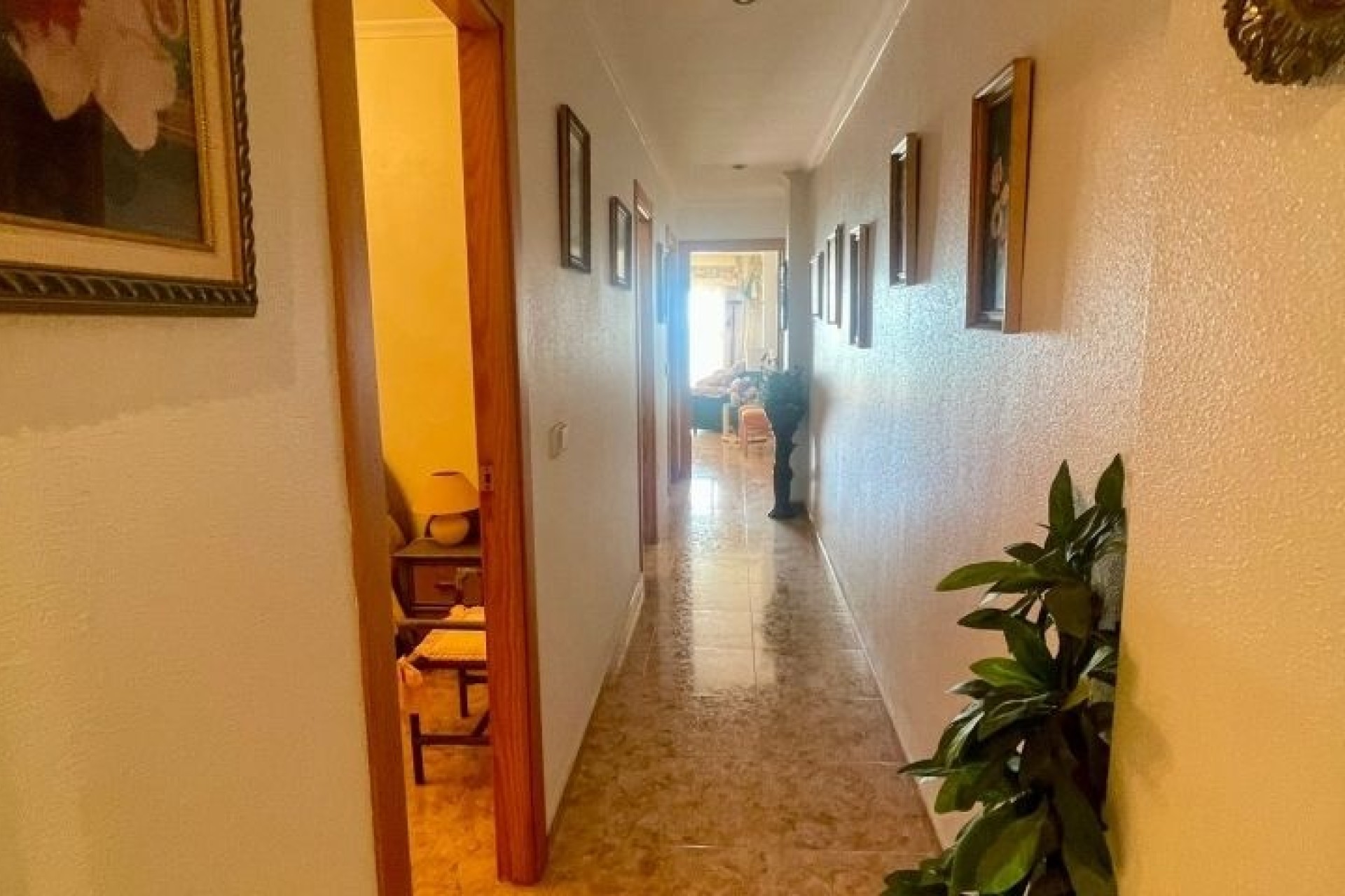 Venta - Apartamento piso -
Torrevieja
