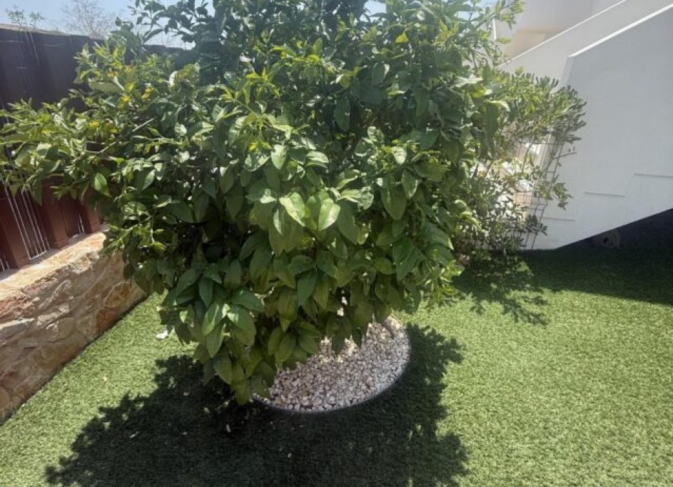 Venta - Apartamento piso -
Vistabella golf Los Montesinos