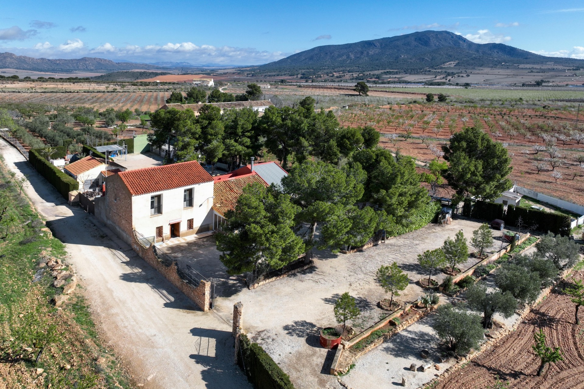 Venta - Casa de campo -
Yecla