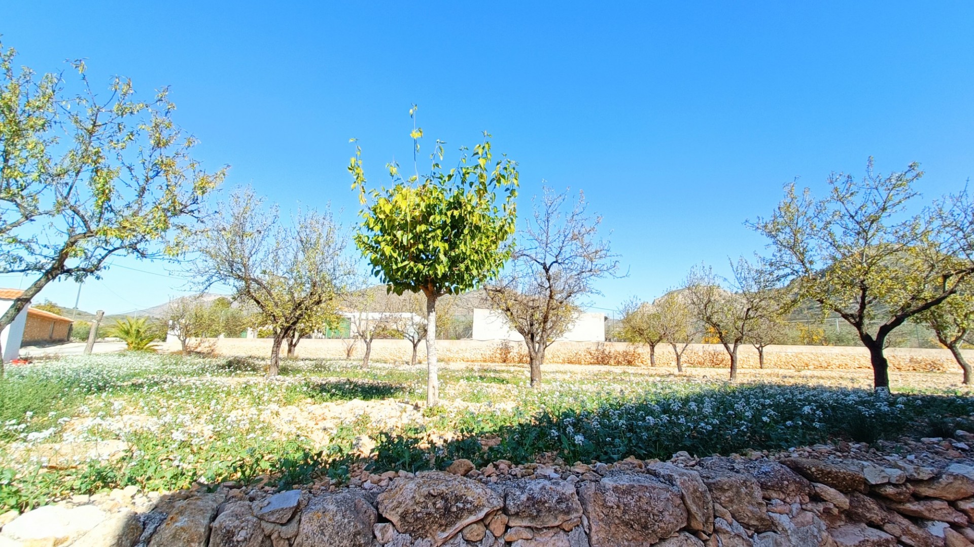 Venta - Casa de pueblo -
Barbarroja